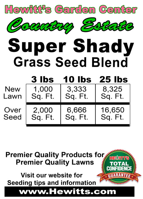 Shady Grass Seed