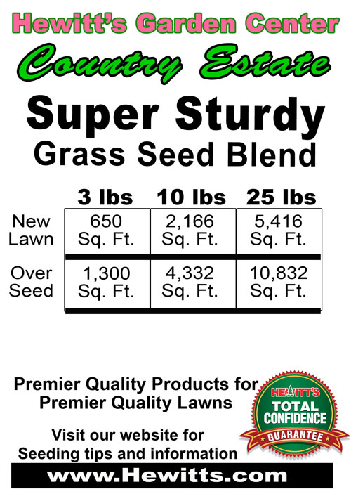 Sturdy Grass Seed