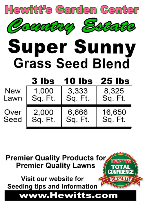 Sunny Grass Seed