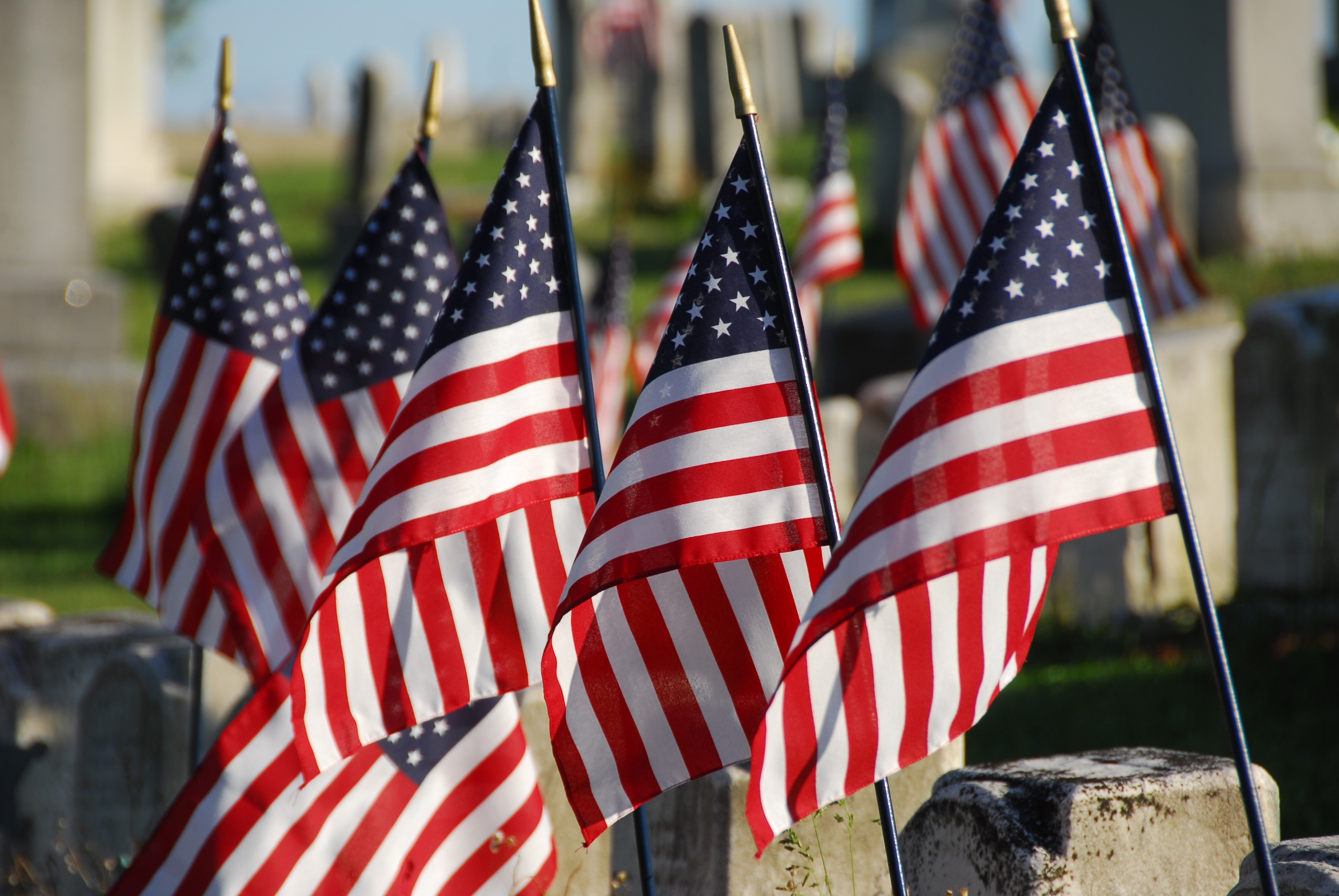 MemorialDay Hewitts Garden Centers