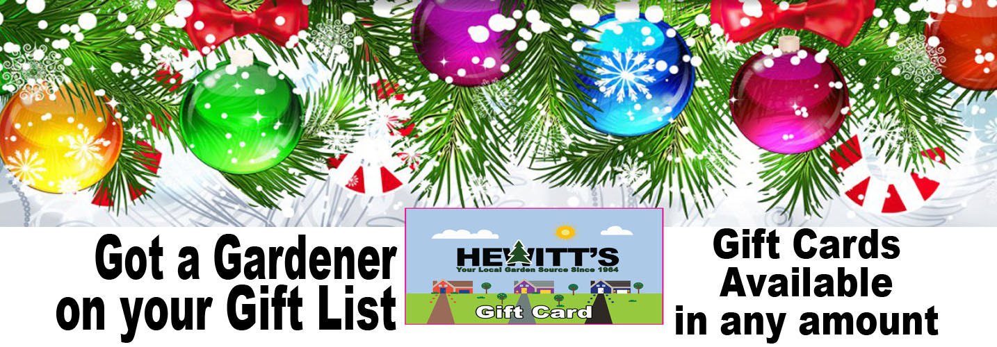 Christmas gift card banner new2 Hewitts Garden Centers