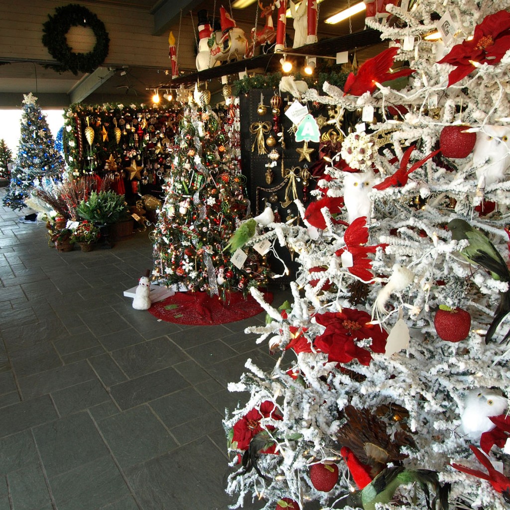 Hewitt’s Christmas Wonderland Hewitts Garden Centers