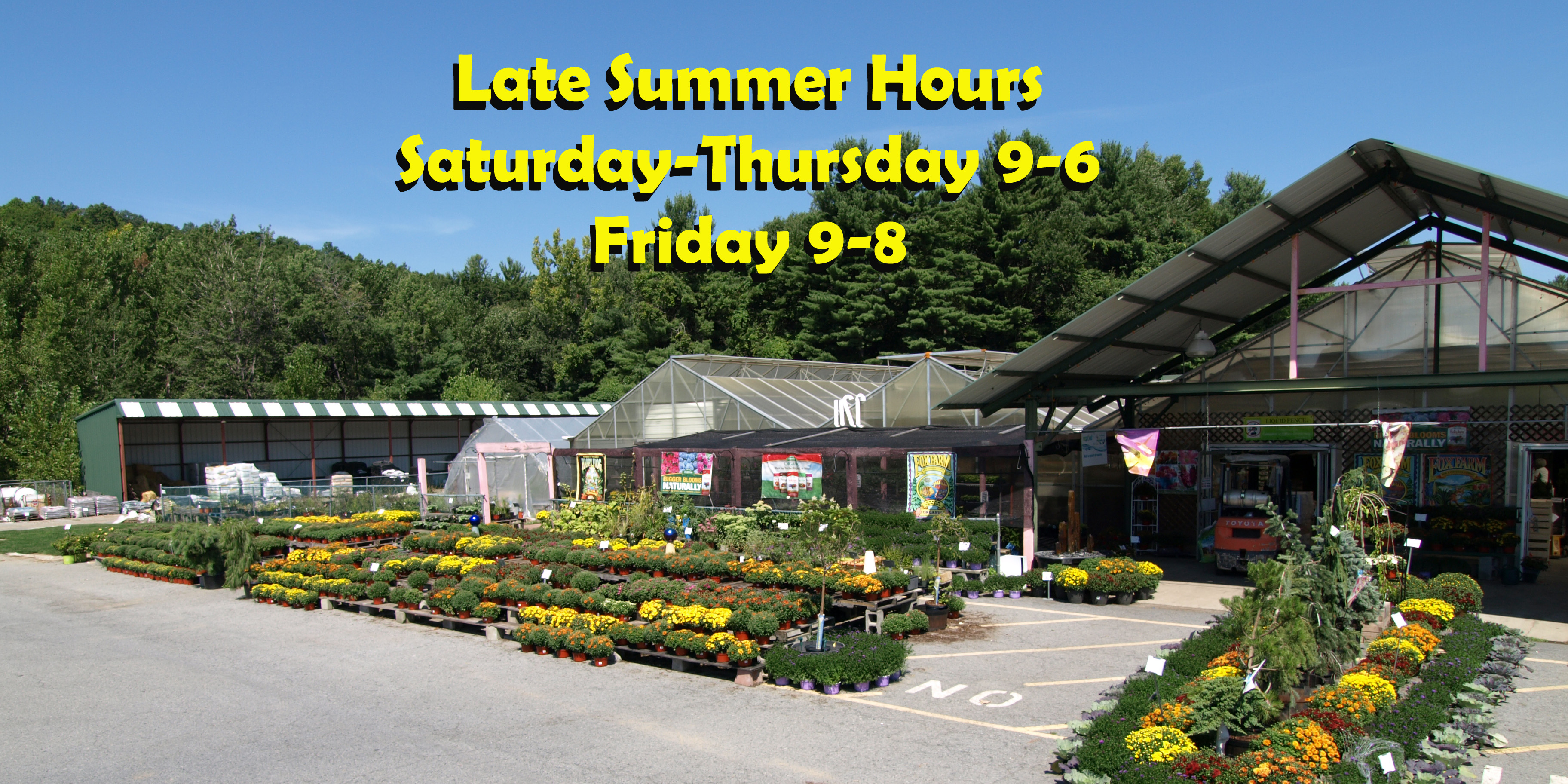 OLYMPUS DIGITAL CAMERA Hewitts Garden Centers